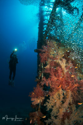 Relitto del Million Hope, Wreck of the Million Hope