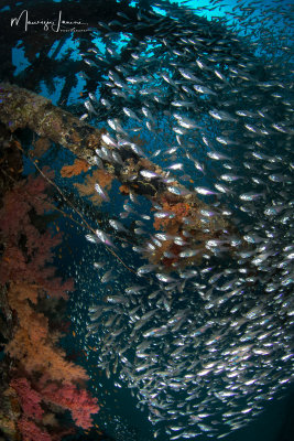 Relitto del Million Hope, Wreck of the Million Hope
