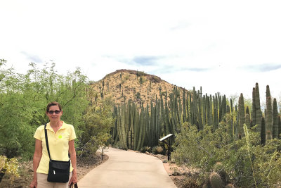 Phoenix Desert Botanical Gardens