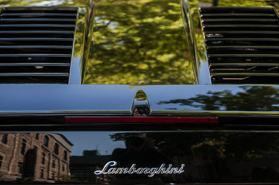 _DSC0510.jpg
