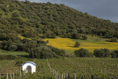 Near Monsaraz, Portugal