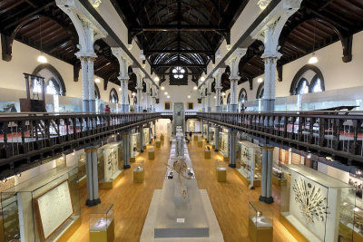 Glasgow, Hunterian Museum