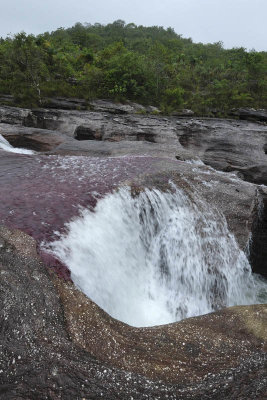 La Macarena, Cao Cristales