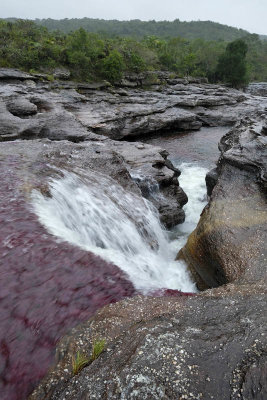 La Macarena, Cao Cristales