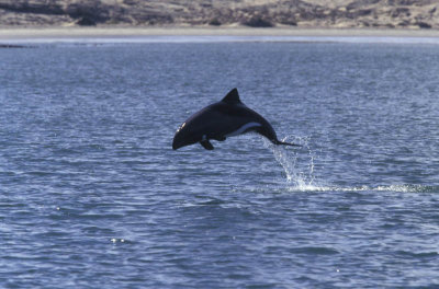 Near Luderitz, Namibia