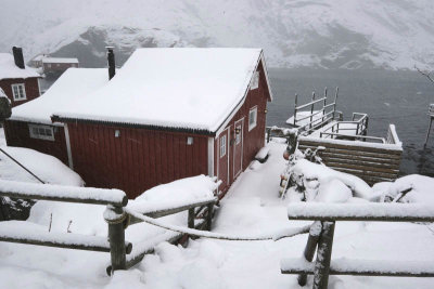 Nusfjord