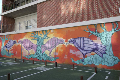 Luís Piçarra Street, Oze Arv 2018