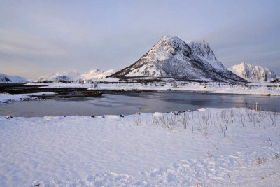 Hestnesbukta