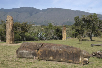 Estación Astronómica Muisca