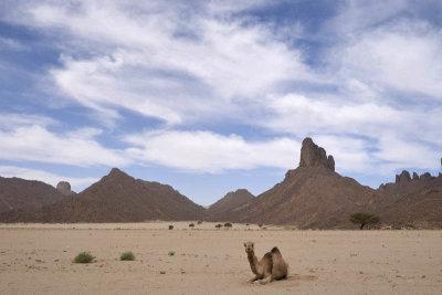 From Essendilne to Bordj el Haoues