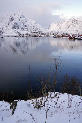 Reine