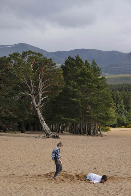 Loch Morlich Beach