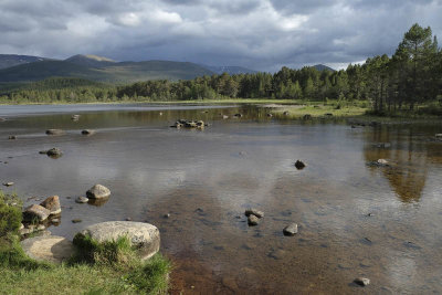 Loch Morlich