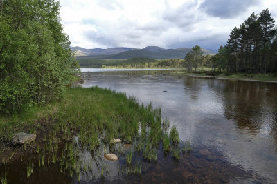 Loch Morlich