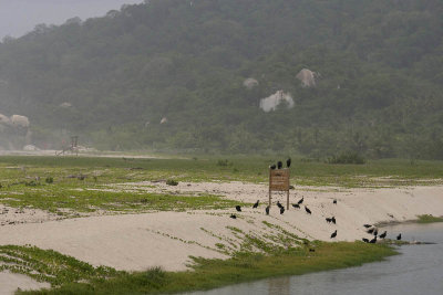 Parque N Tayrona, Playa Arrecifes