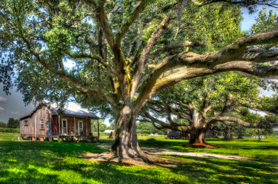 Rural Louisiana.jpg