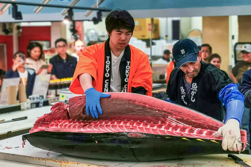 Tuna Cutting 3