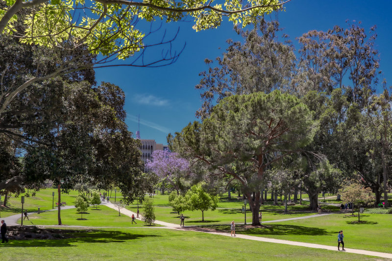 Aldrich Park