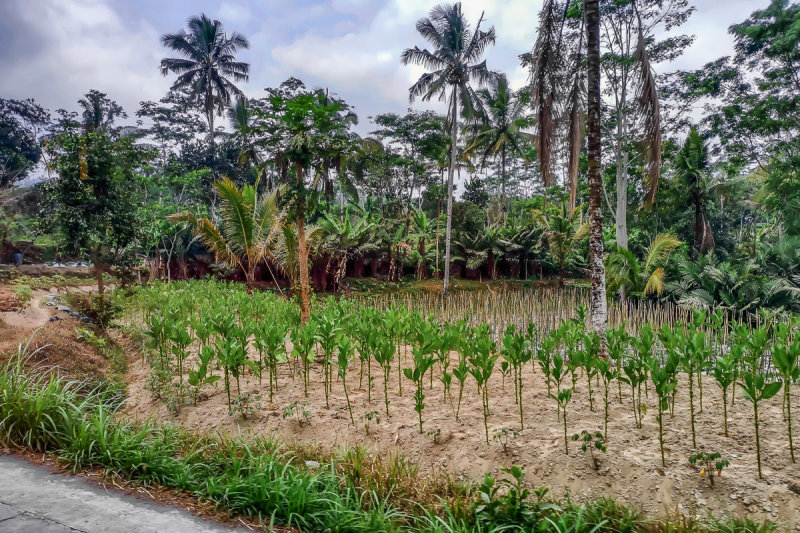 Ketep Pass 6