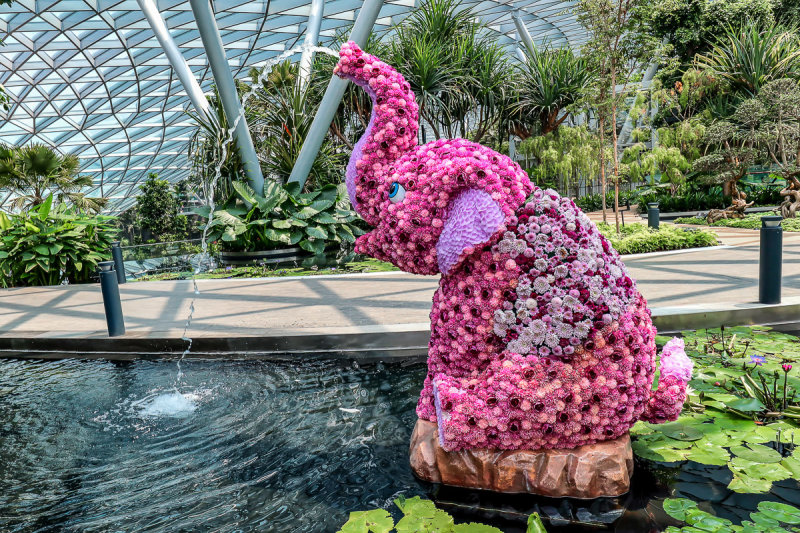 The Jewel Changi 10