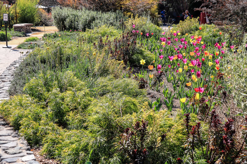 Around Garden