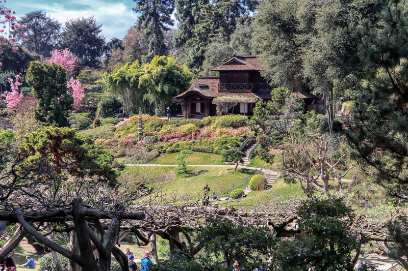 Japanese Garden 1