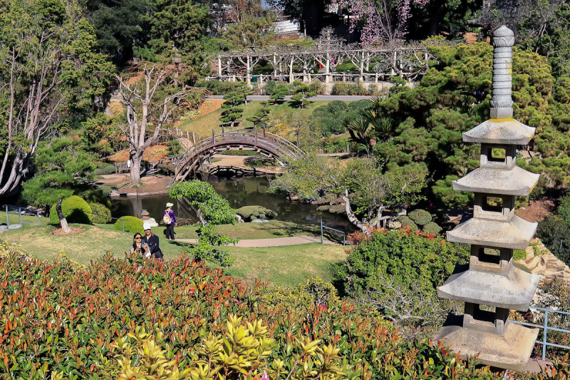 Japanese Garden 2