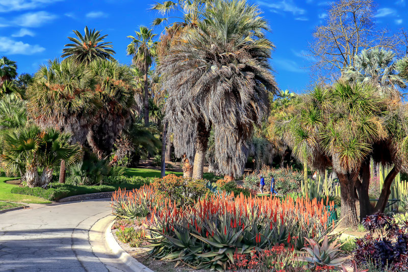  Desert Garden 4