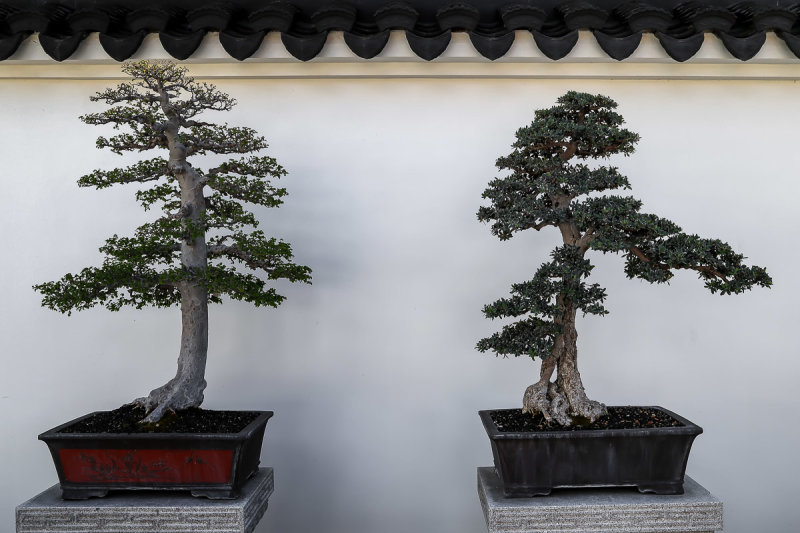 Penjing