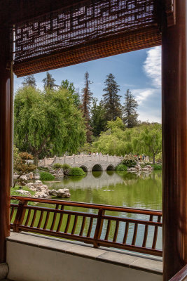 Chinese Garden 2