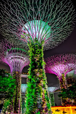 Gardens by the Bay 12