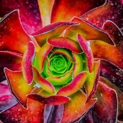 g12/60/123360/3/170749256.e5H466dK.jpg