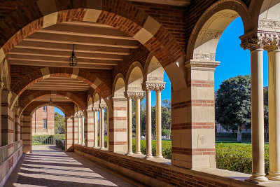 UCLA Campus 8