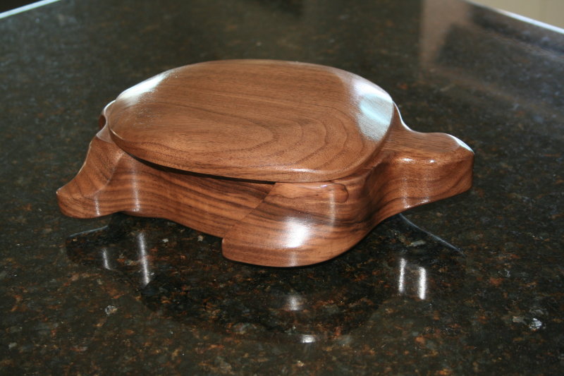 Walnut Turtle