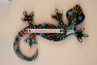 Gecko thermometer