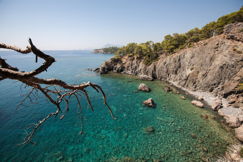 Phaselis