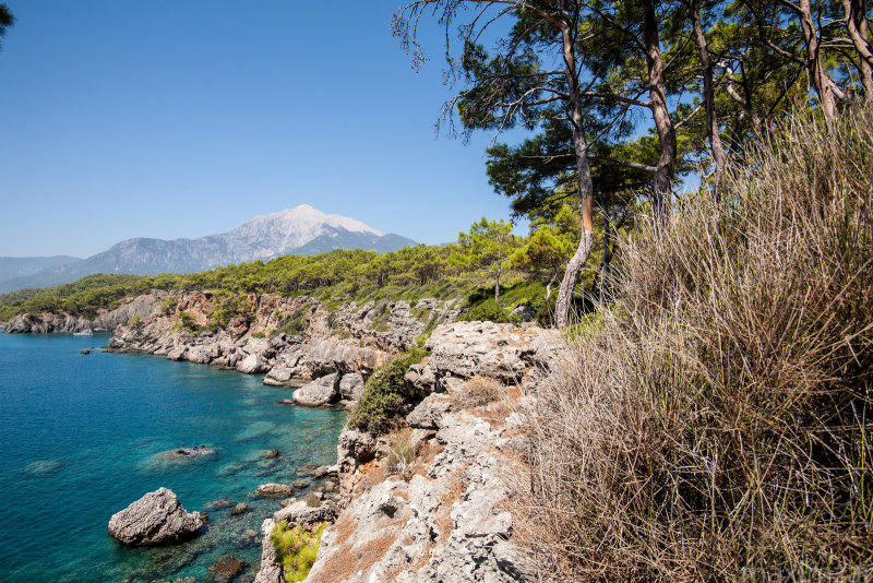 Phaselis