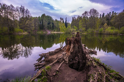 Serednikovo