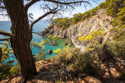 Phaselis