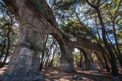 Phaselis