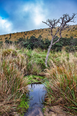 Horton Plains