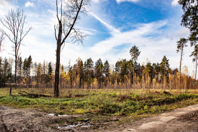 Krasnogorsk Forest Park