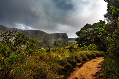 Horton Plains