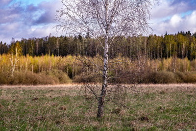 Pleskovo