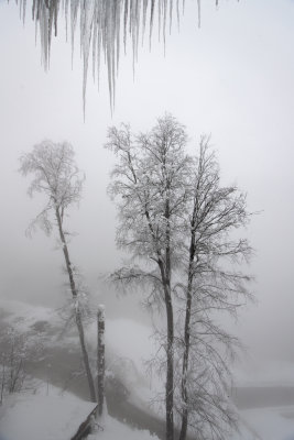 RosaKhutor