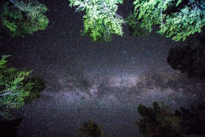 Day 3. Milky Way over the fire
