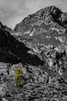 Day 7.  Akchan valley