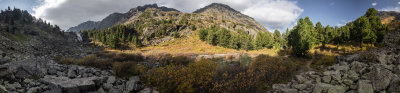 Wide wild Altai