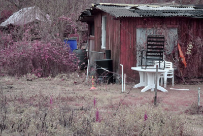 DSC_0642.jpg