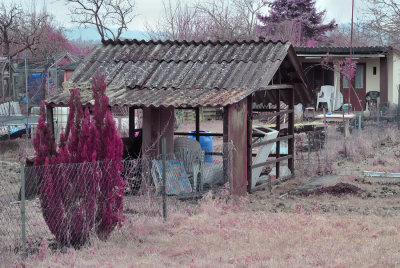 DSC_0625.jpg